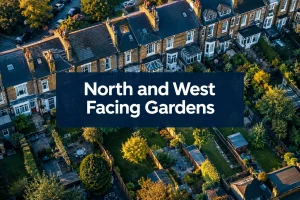 North and West Facing Gardens: What Surveyors Assess Before You Buy a London Home