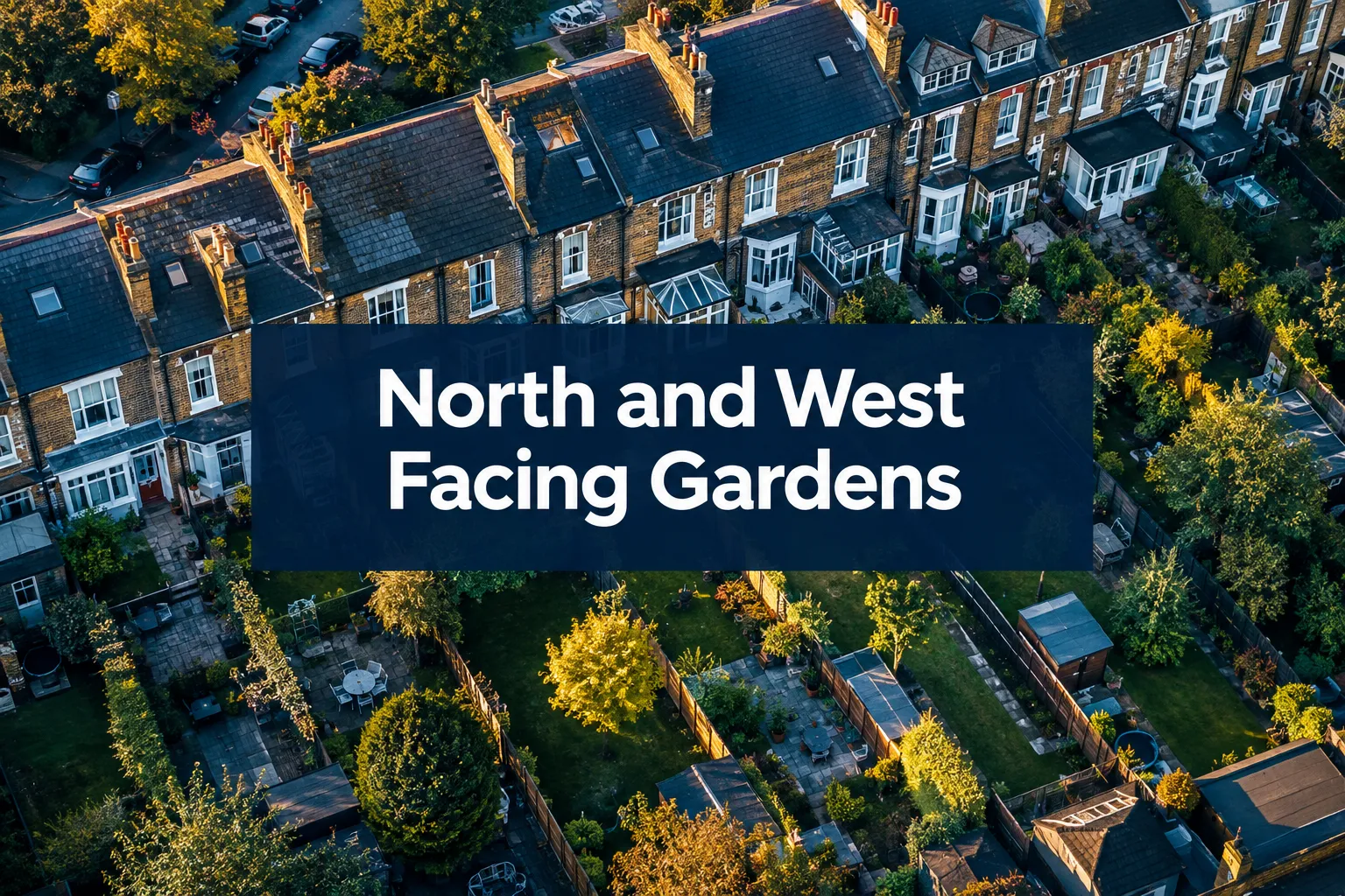 North and West Facing Gardens: What Surveyors Assess Before You Buy a London Home
